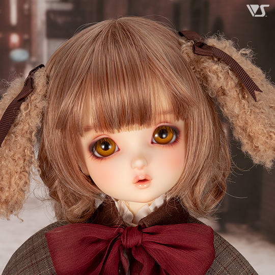 モデルドルフィー