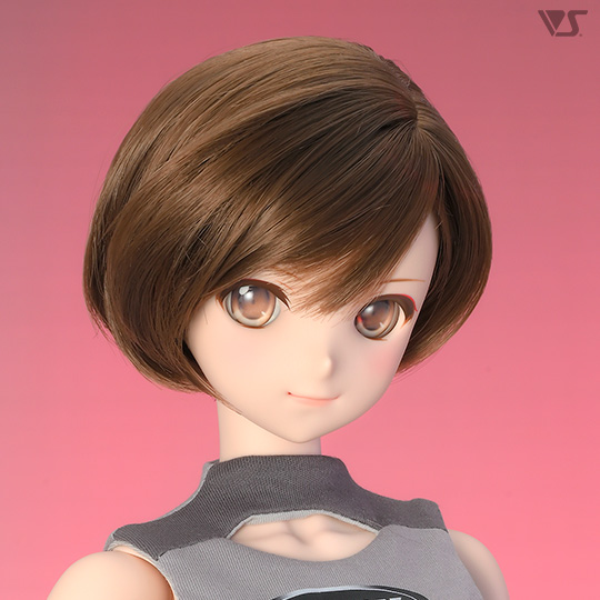 モデルドルフィー