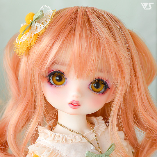 モデルドルフィー