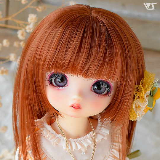 モデルドルフィー