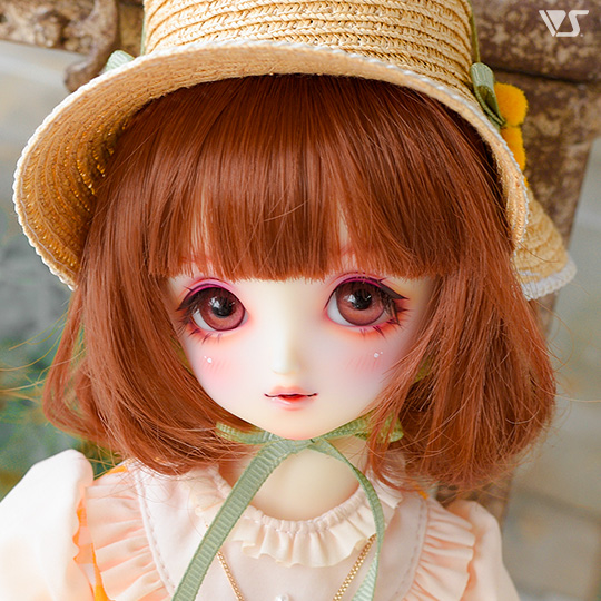 モデルドルフィー