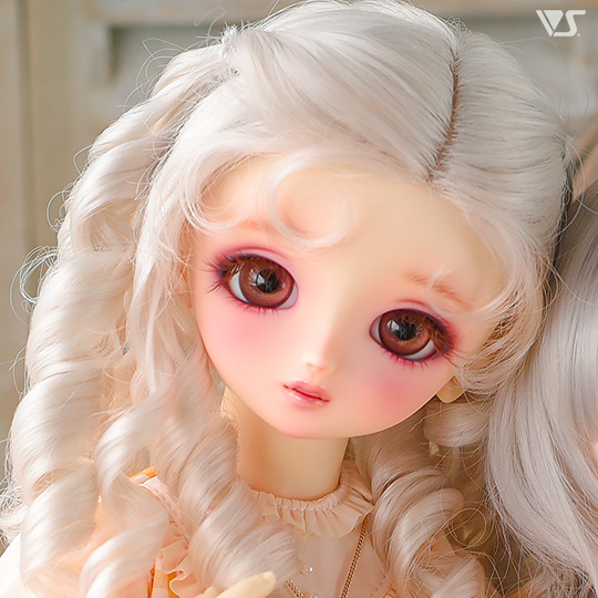 モデルドルフィー