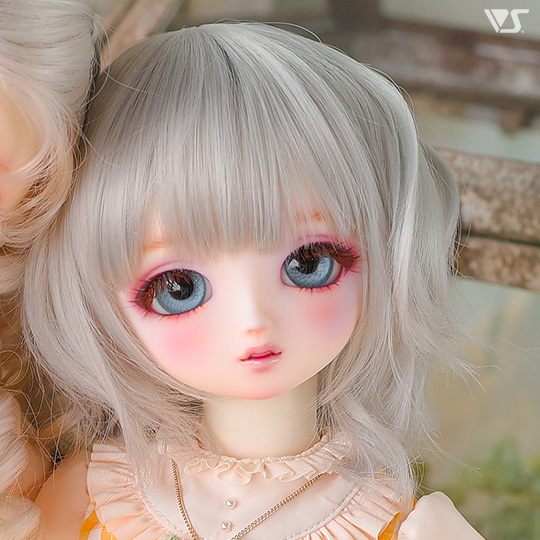 モデルドルフィー