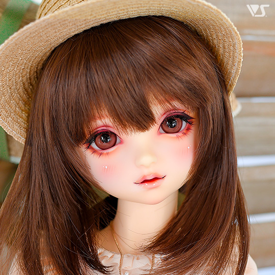 モデルドルフィー