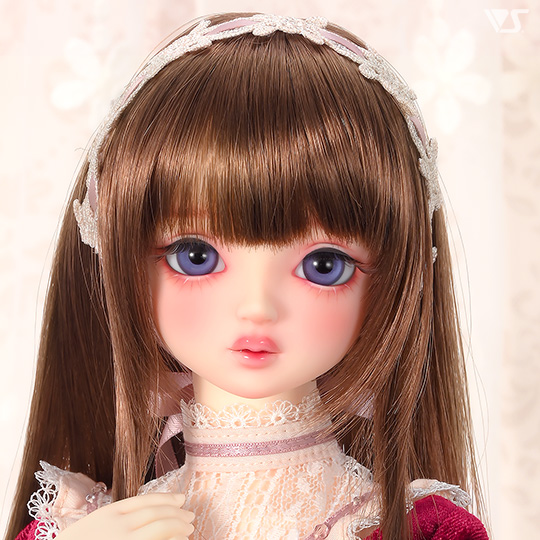 モデルドルフィー