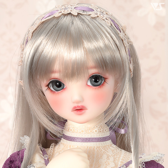 モデルドルフィー