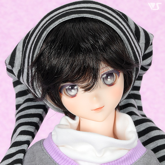 モデルドルフィー