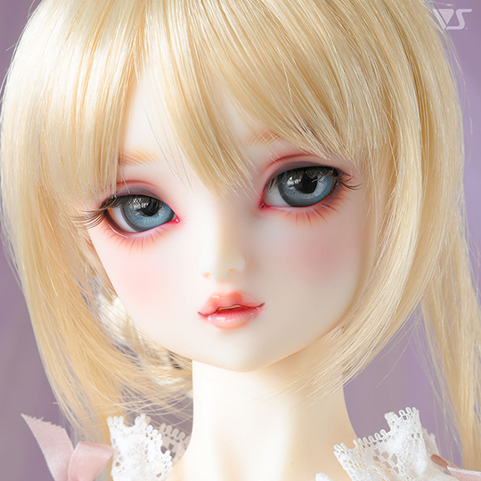 モデルドルフィー