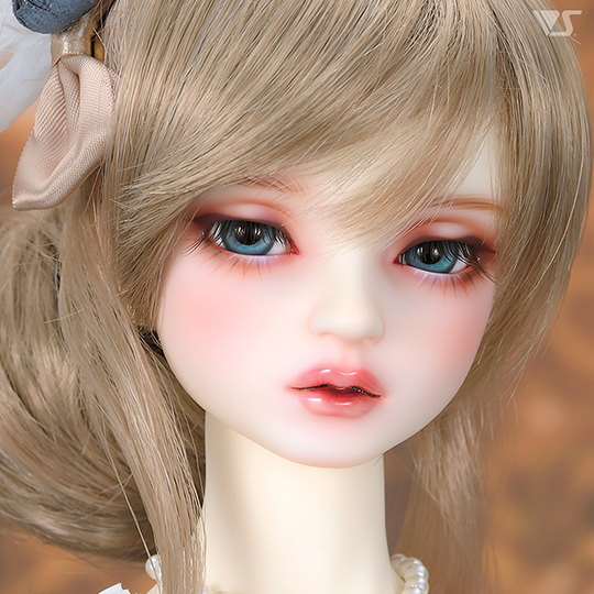 モデルドルフィー