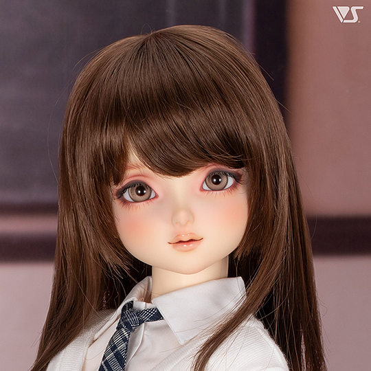 モデルドルフィー