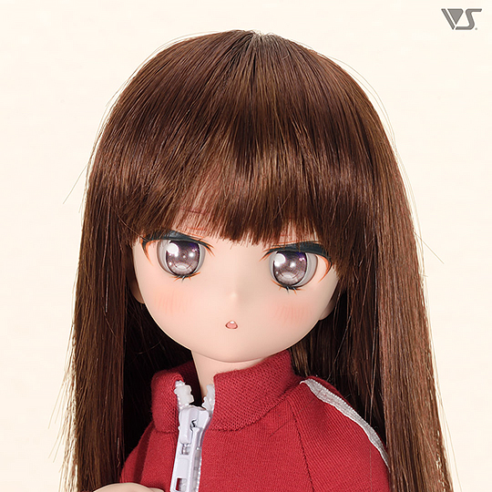 モデルドルフィー