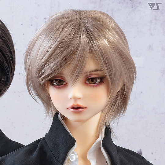 モデルドルフィー