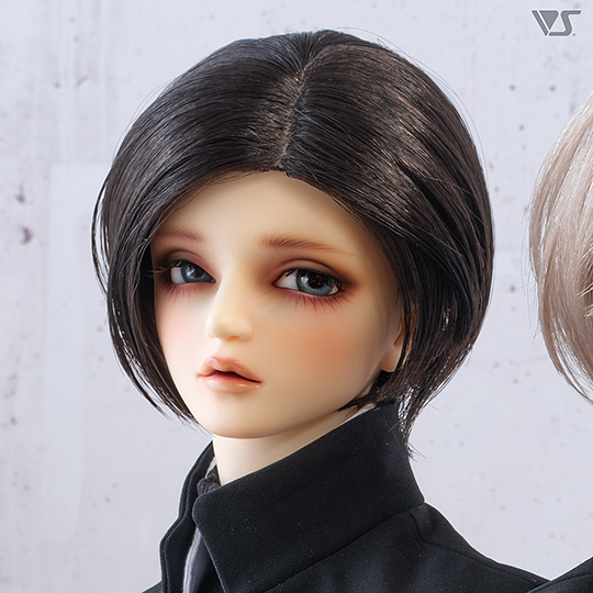 モデルドルフィー