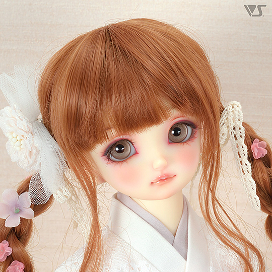 モデルドルフィー