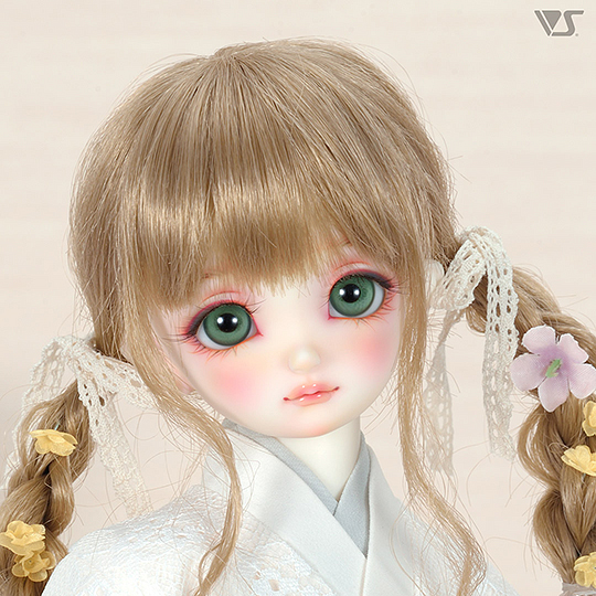 モデルドルフィー