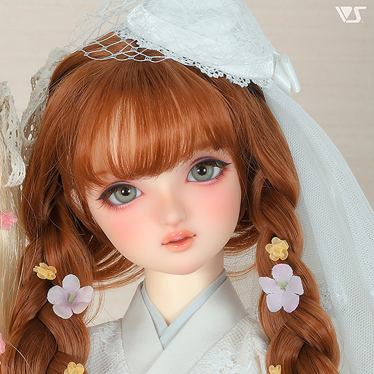 モデルドルフィー