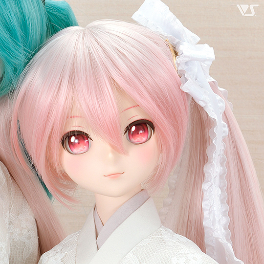 モデルドルフィー