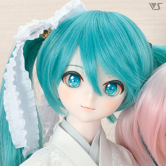 モデルドルフィー