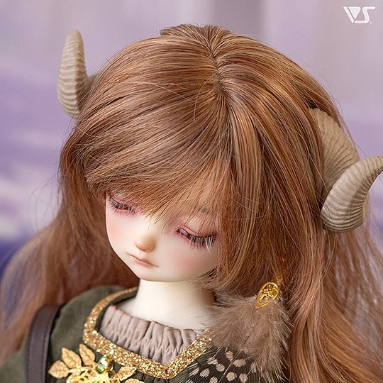 モデルドルフィー