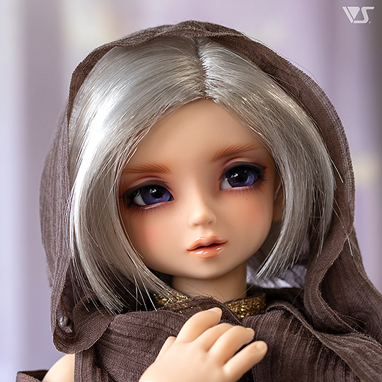 モデルドルフィー