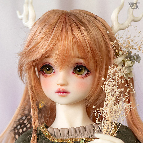 モデルドルフィー