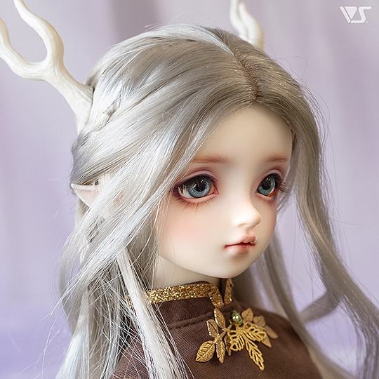 モデルドルフィー