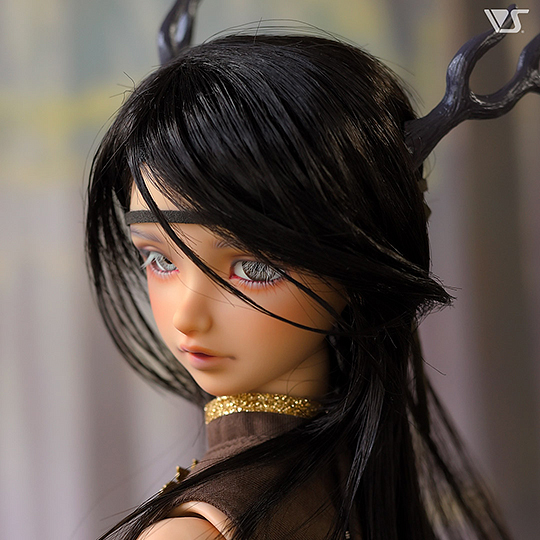 モデルドルフィー