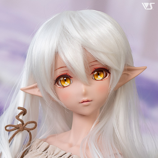 モデルドルフィー