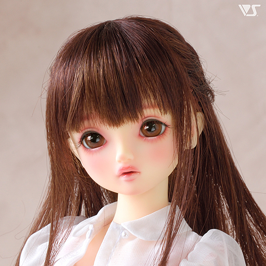 モデルドルフィー