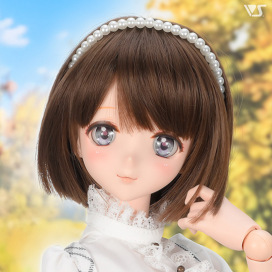 モデルドルフィー