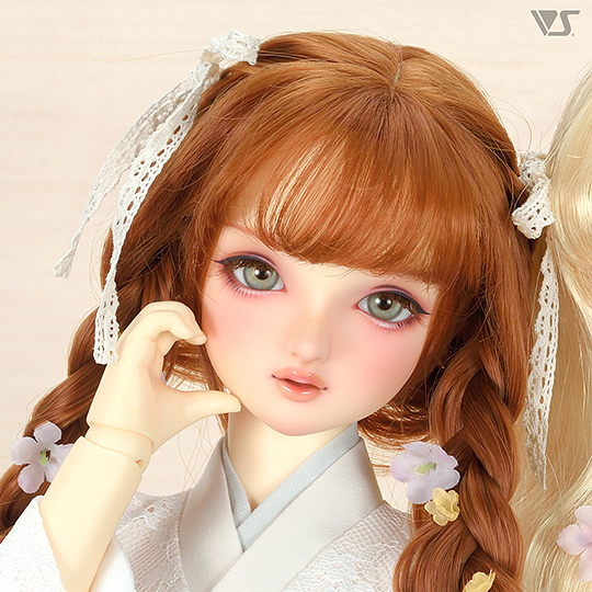 モデルドルフィー