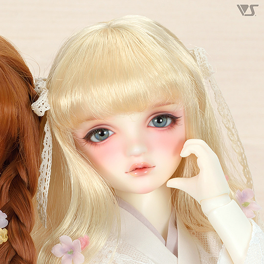 モデルドルフィー