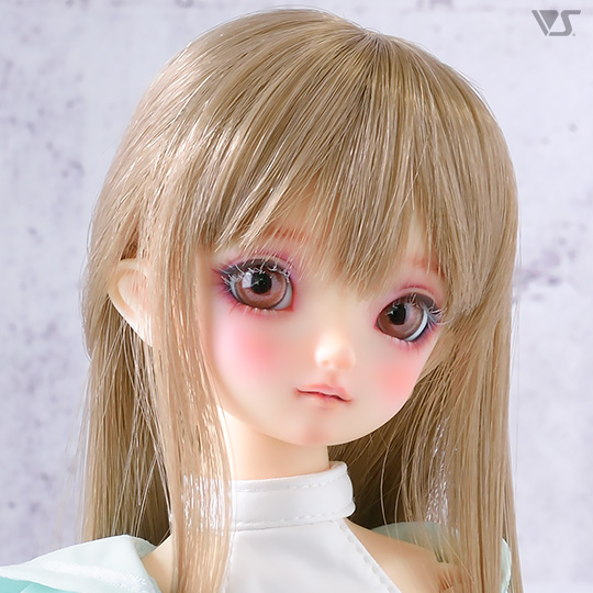 モデルドルフィー