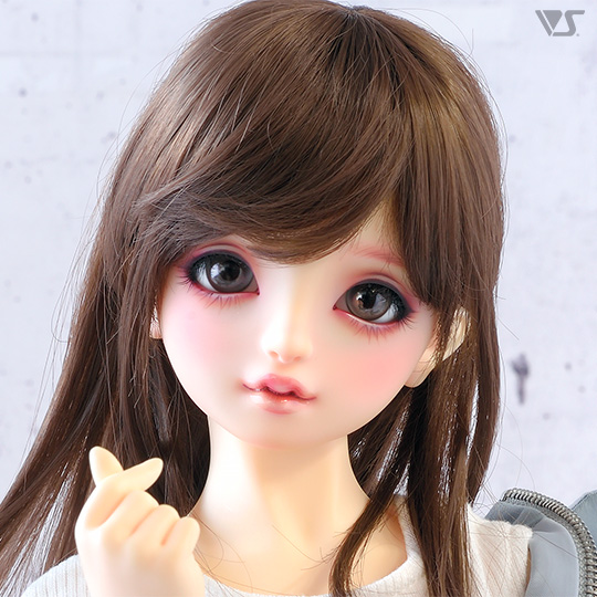 モデルドルフィー