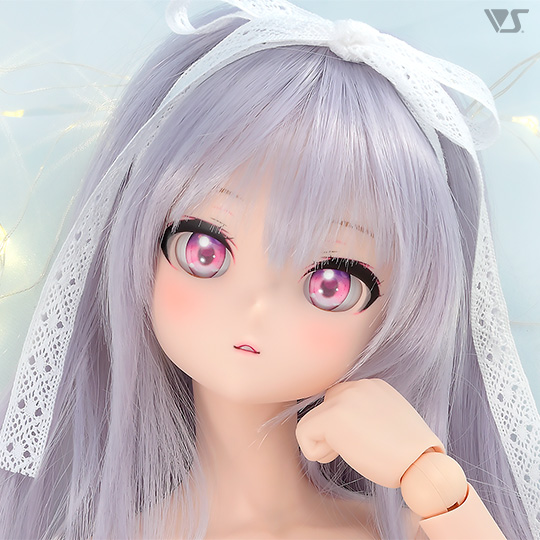モデルドルフィー