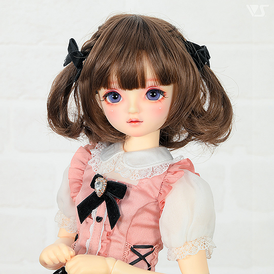 モデルドルフィー