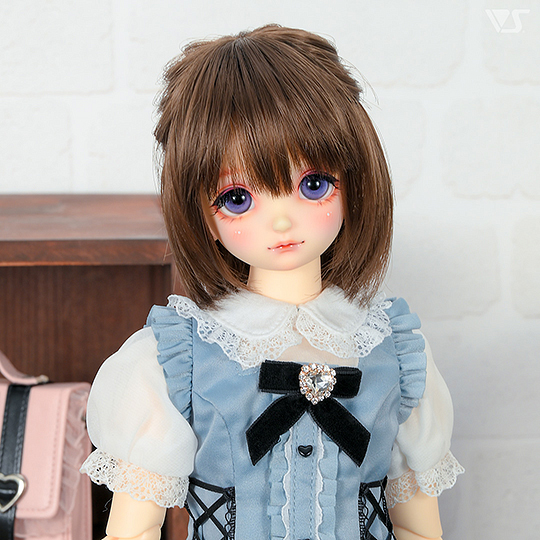 モデルドルフィー