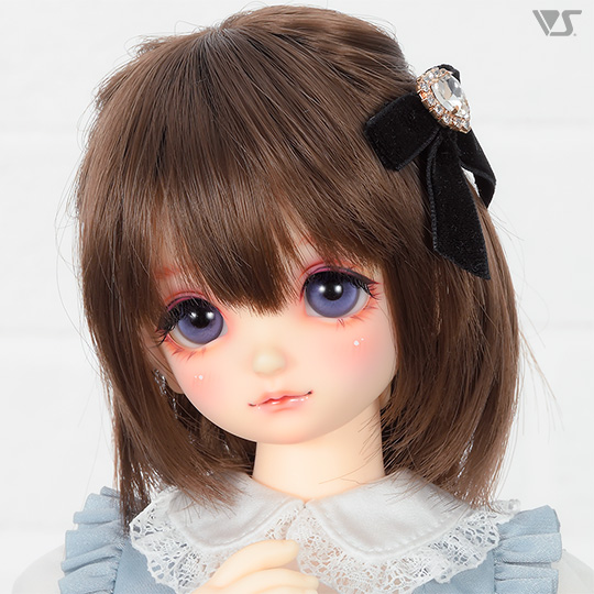 モデルドルフィー