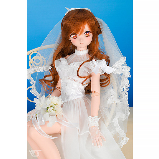 モデルドルフィー