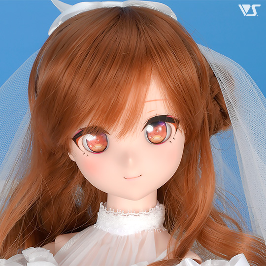 モデルドルフィー