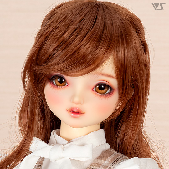 モデルドルフィー