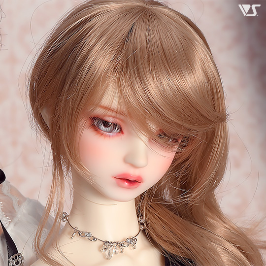 モデルドルフィー