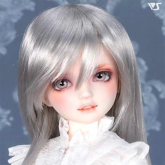 モデルドルフィー