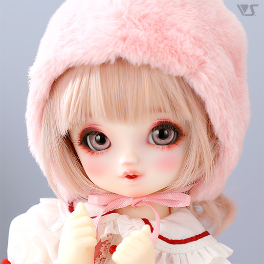 モデルドルフィー