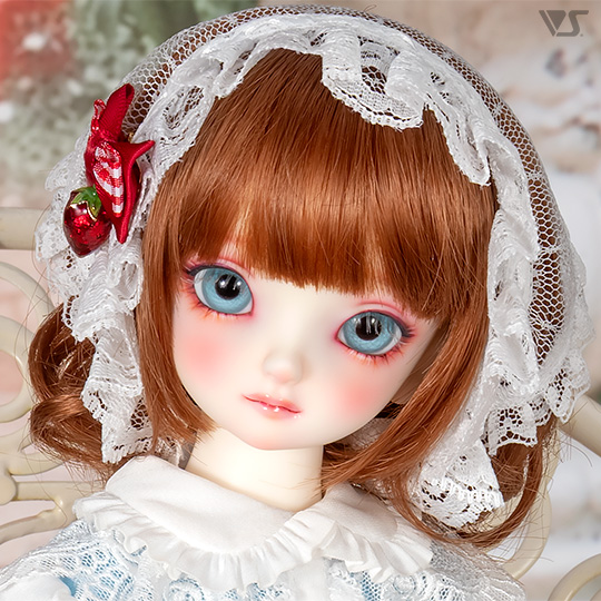 モデルドルフィー