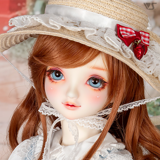 モデルドルフィー