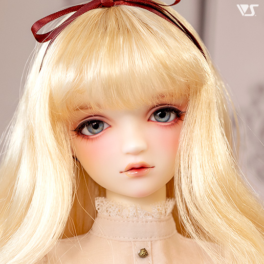 モデルドルフィー