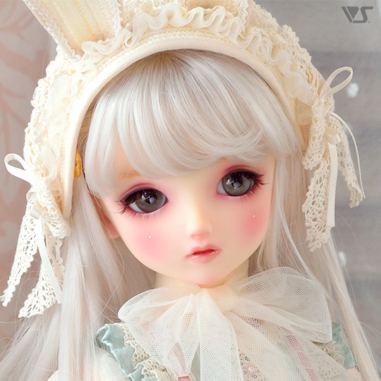 モデルドルフィー