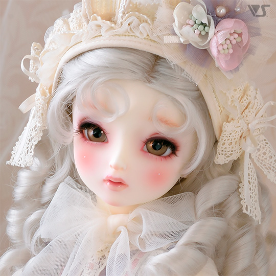 モデルドルフィー