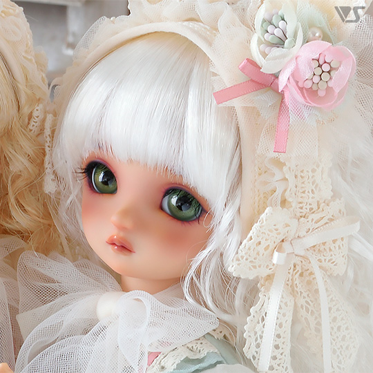 モデルドルフィー